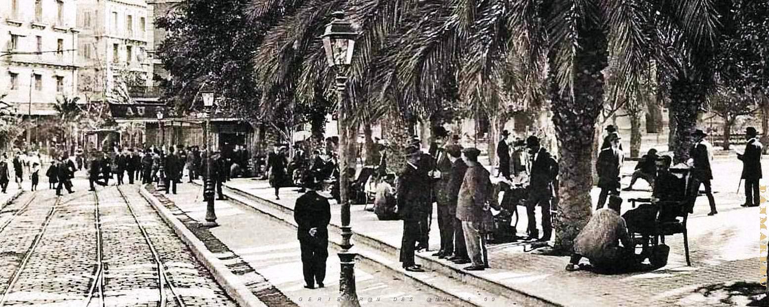 2375- Oran - Place d'Armes - Palmiers2.jpg